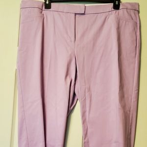 Size 22 Lavender Lane Bryant Ankle Pants
